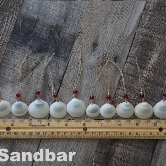 Seashell Ornaments Gift Set of 10 Beaded Shell Beach House Decor TheSandbar - Picture 4 of 4